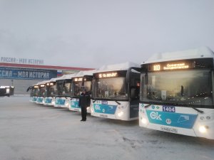 Наши Автобусы